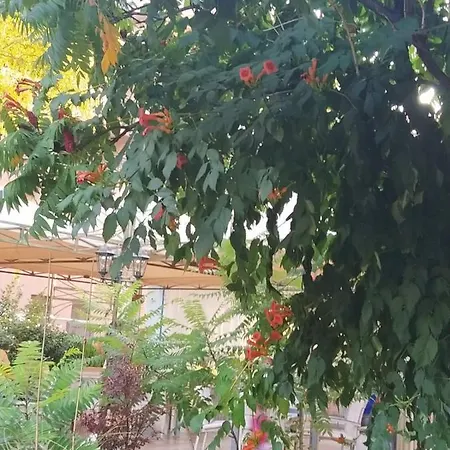 Shipka Σάνι Μπιτς