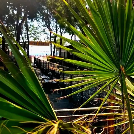 Shipka Otel Sunny Beach