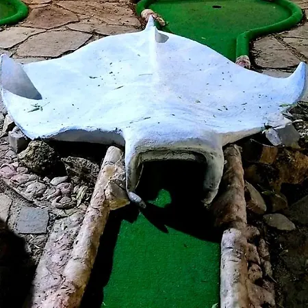 Shipka 阳光海滩